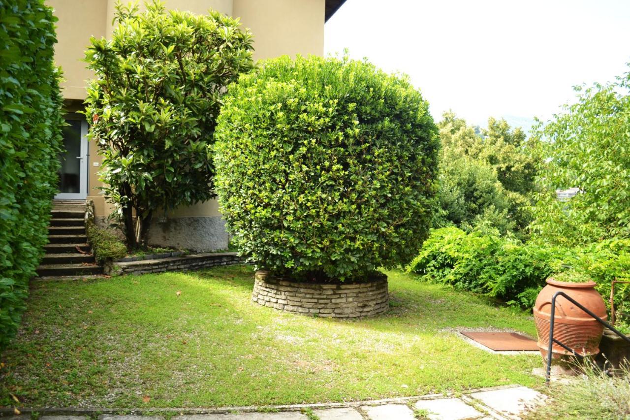 Luxury Villa In Como Lake Εξωτερικό φωτογραφία